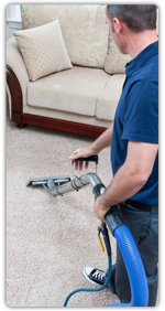 Professional carpet Steam Cleaners
